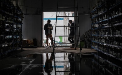 A hosting mining farm showcasing various GPU miners