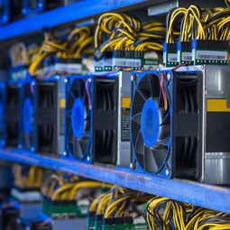 A modern mining farm showing rows of mining rigs