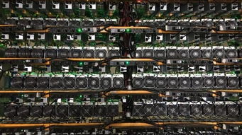 Intricate details of a high-performance mining rig setup in a German facility